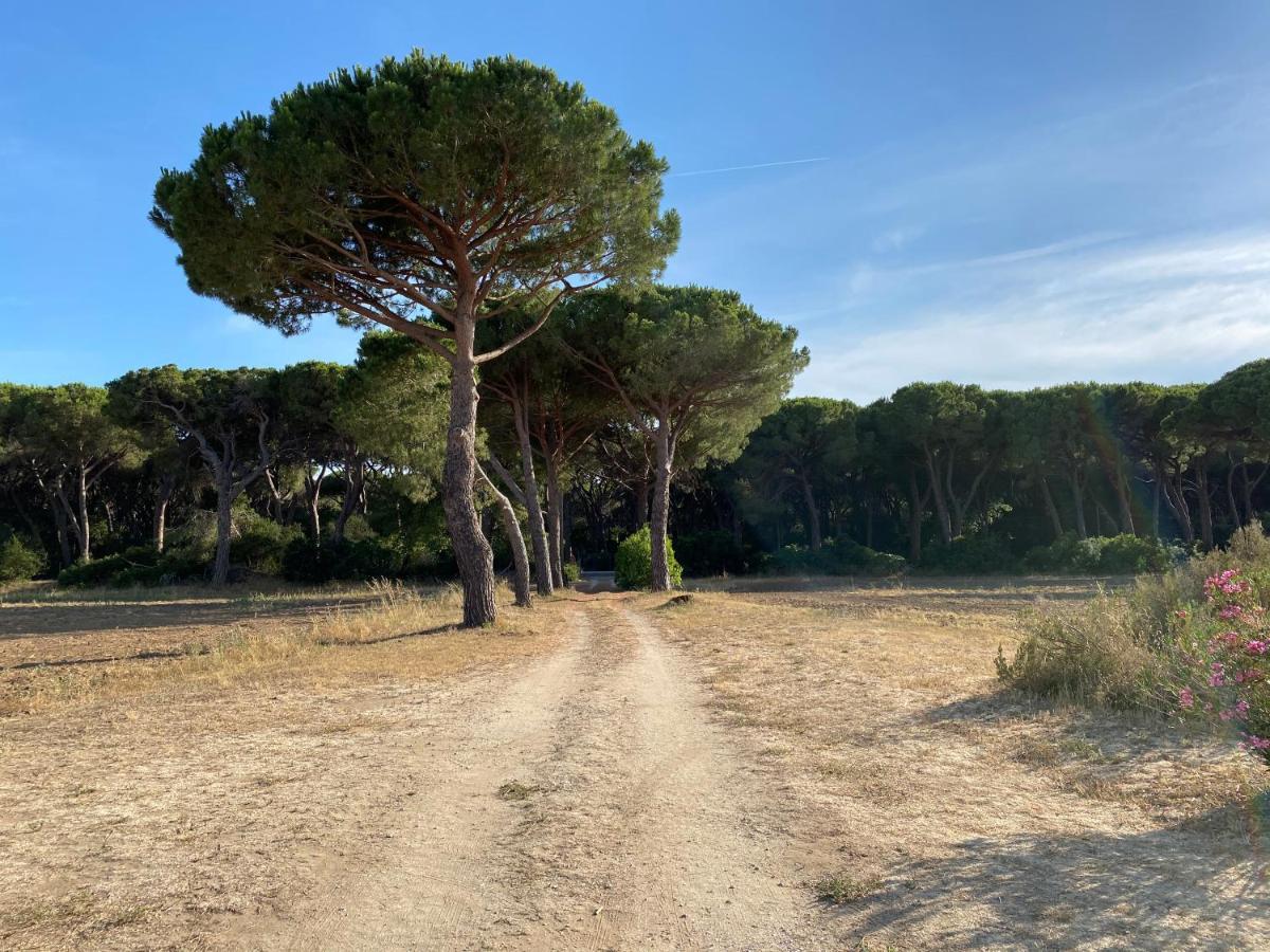 Quercesecca Vila Marina di Grosseto Exterior foto